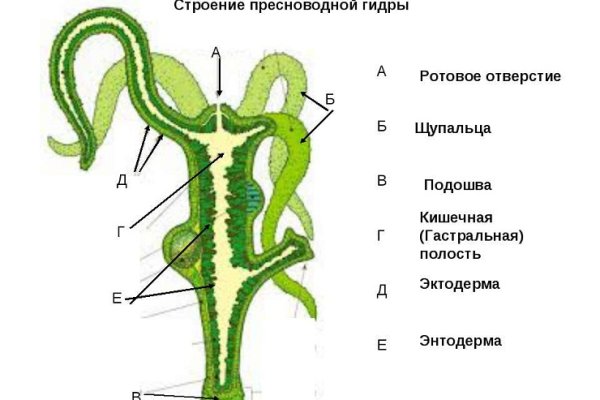 Ссылка на омг омг fb